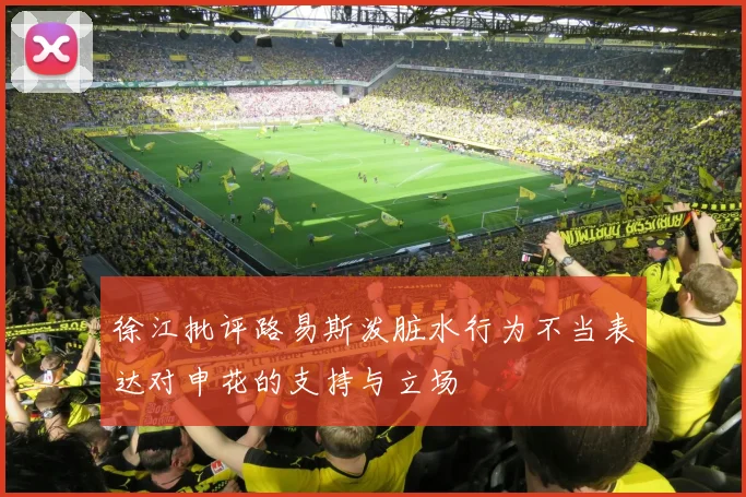 徐江批评路易斯泼脏水行为不当表达对申花的支持与立场