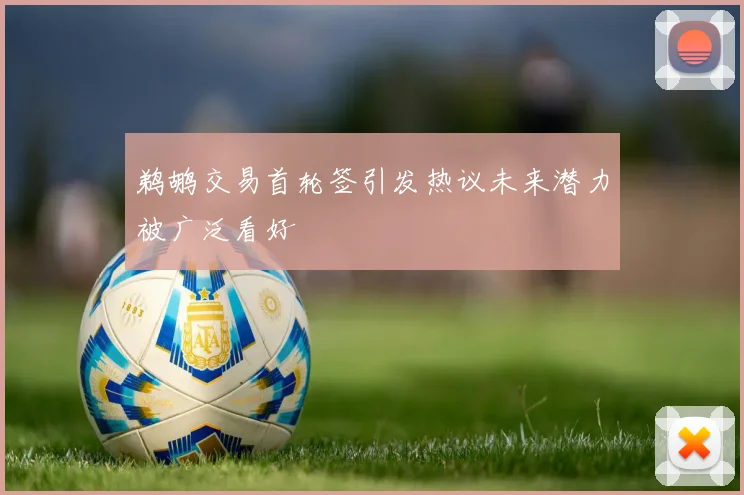 鹈鹕交易首轮签引发热议未来潜力被广泛看好