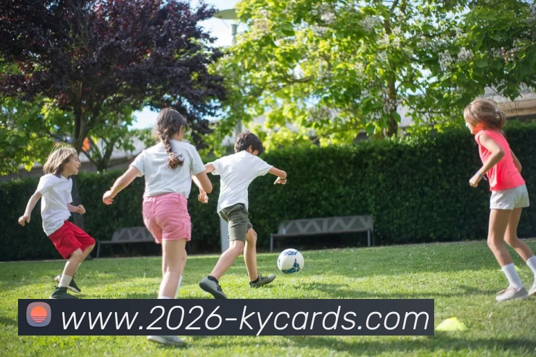 开云棋牌官网平台生态图